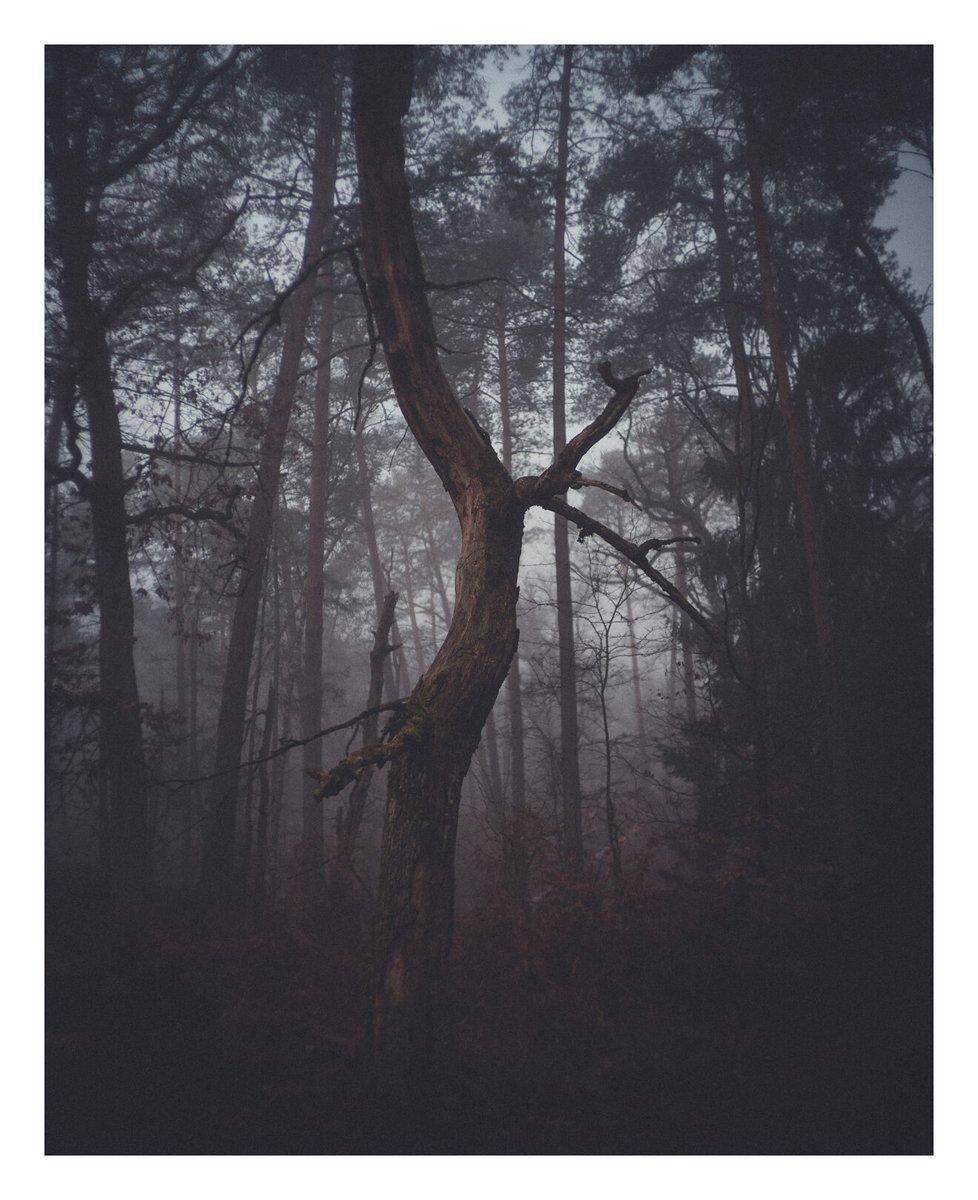 Andy Day tweet media