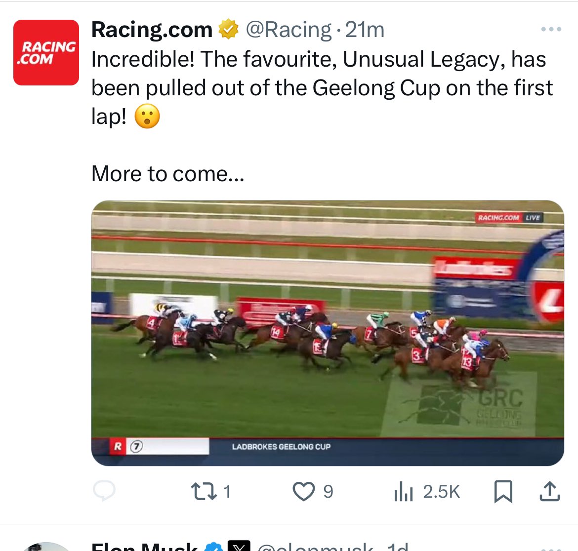 Emma Herbert tweet media