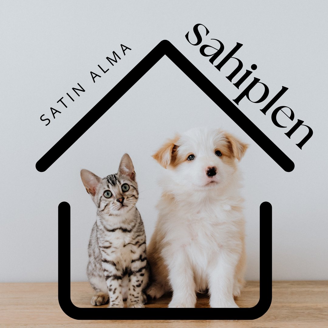 "Satın alma sahiplen" gönderimin muazzam spam aldığını gördüm. Bu da bana; "doğru yolda olduğumu" gösterdi. Yalnız maalesef bununla mücadele etmekte zorlanıyorum. Goygoy gönderilere gelen onbinlerce reaksiyon buna gelmiyor. Bu da bu gönderileri işlevsiz hale getiriyor.

Bir