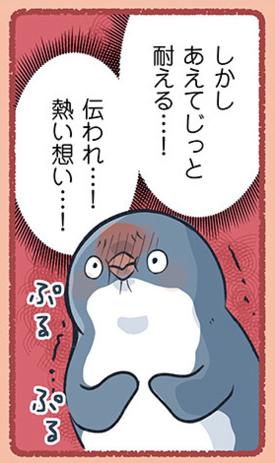明日17時頃、亜照さん本編更新予定です〜
(画像は息止めてる亜照) 