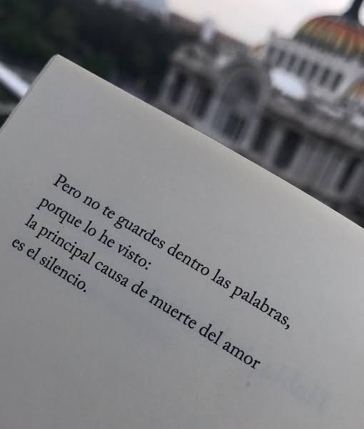 Gris Castellanos 🇲🇽 (@griswerita) on Twitter photo 