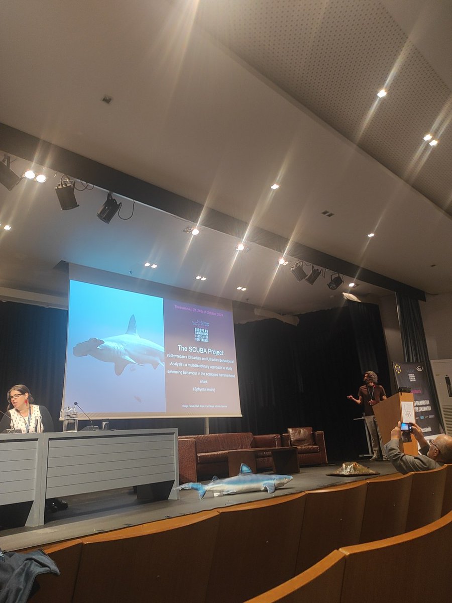 Agostino Leone tweet media