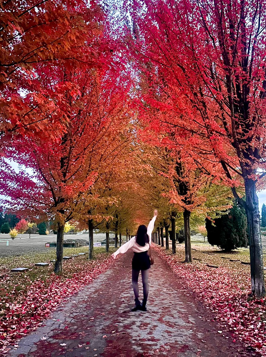 melaniejjavier's tweet photo. 🍁❤️🍂 https://t.co/0Pq0sZ3Ubl