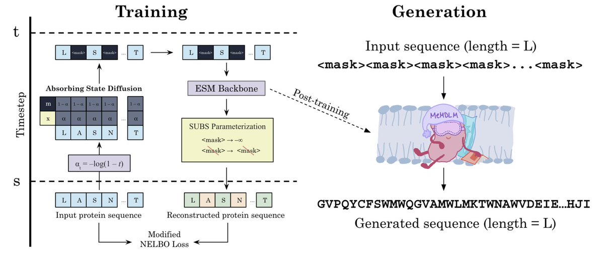 Pranam Chatterjee (@pranamanam) on Twitter photo This is the beauty of collaborative science! 🧪 Over the summer, my good friend <a href="/htkratochvil/">Dr. Huong Kratochvil (she/her)</a> and I were thinking about how we could generate membrane proteins (her lab's expertise) with our lab's generative pLMs. Obviously, structure-based methods aren't great as membrane This is the beauty of collaborative science! 🧪 Over the summer, my good friend <a href="/htkratochvil/">Dr. Huong Kratochvil (she/her)</a> and I were thinking about how we could generate membrane proteins (her lab's expertise) with our lab's generative pLMs. Obviously, structure-based methods aren't great as membrane