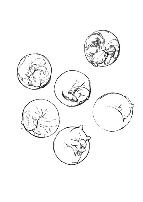 丸猫。 なんかに使えるかなと思って描いてる。 