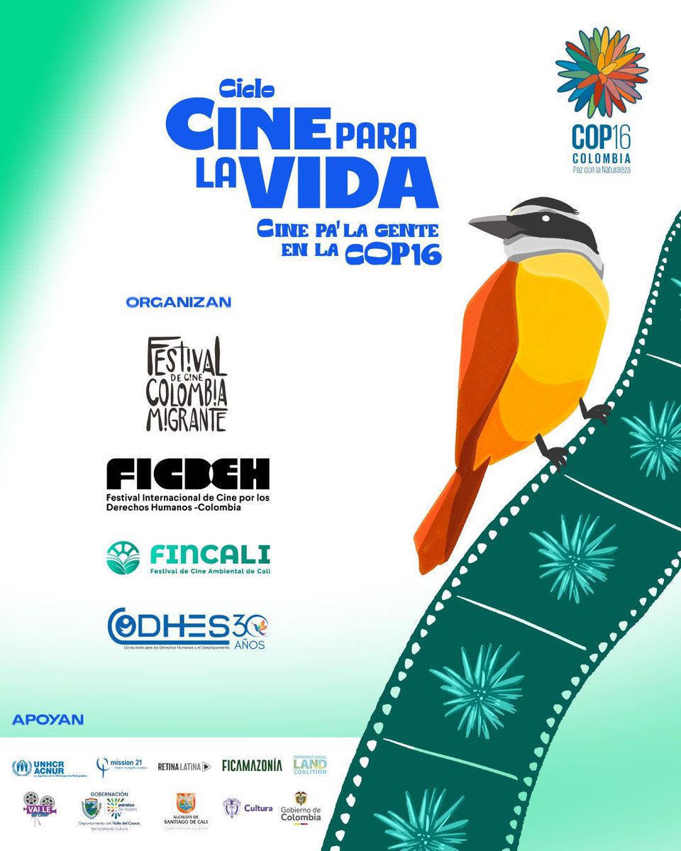 <a href="/FICDEH/">FICDEH</a> en #COP16Cololombia