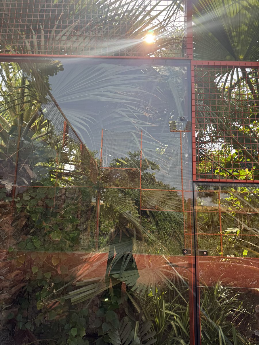 gm nomads!

stay fit in Dubai with <a href="/oneofusgang/">ONE OF US</a> 🎾