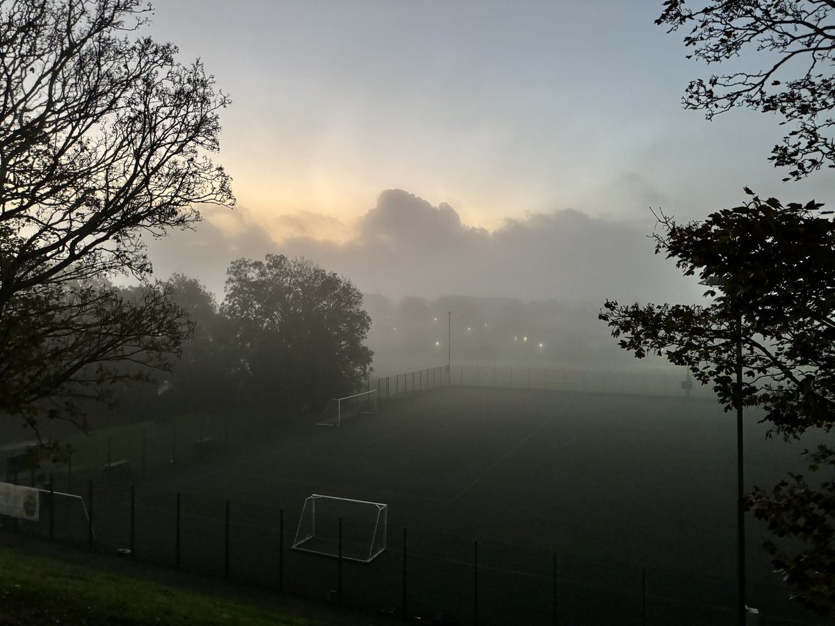 Andrea McGowan tweet media