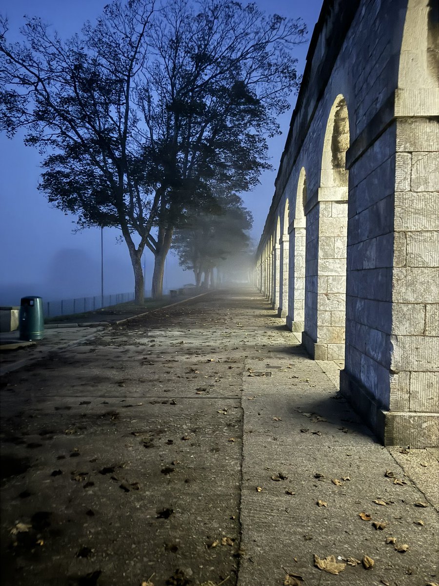 Andrea McGowan tweet media