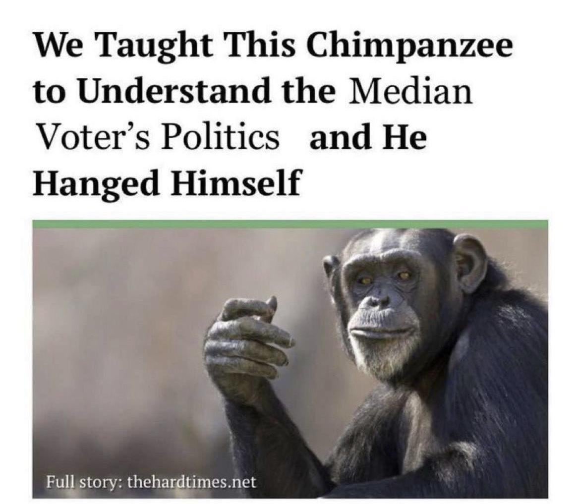 Macrame Owls Scare Me tweet media