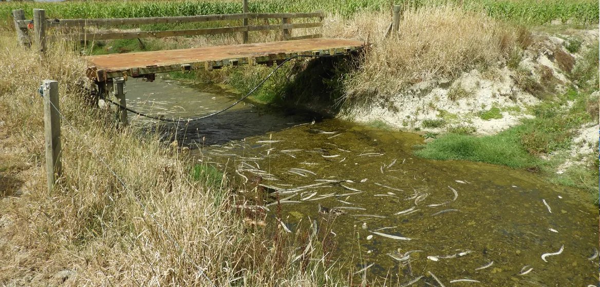 Scott Hamilton RTM tweet media