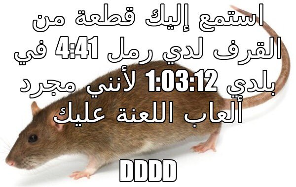 ,,,,,,,, tweet media