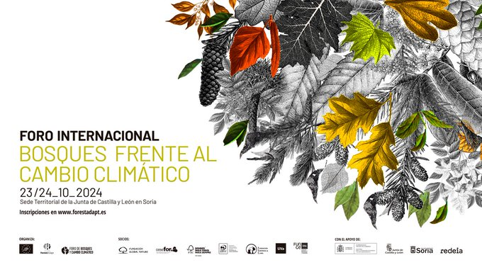 FGlobalNature's tweet photo. 🫴Hoy ha comenzado en Soria 'Bosques frente al Cambio Climático'.

Diferentes expertos abordarán los principales aspectos que afectan a las masas forestales en el contexto actual de crisis climática. 

Síguelo ya en directo👉https://t.co/Rvfc0uUFZW

LIFE Soria #ForestAdapt https://t.co/uFKZZQ63Dh