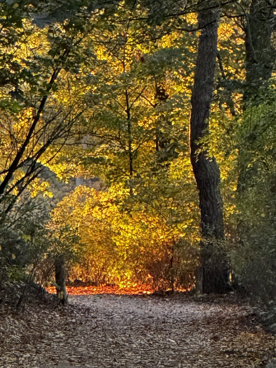 Volgens mij is het ehhh herfst. (Berlin, Krumme Lanke)