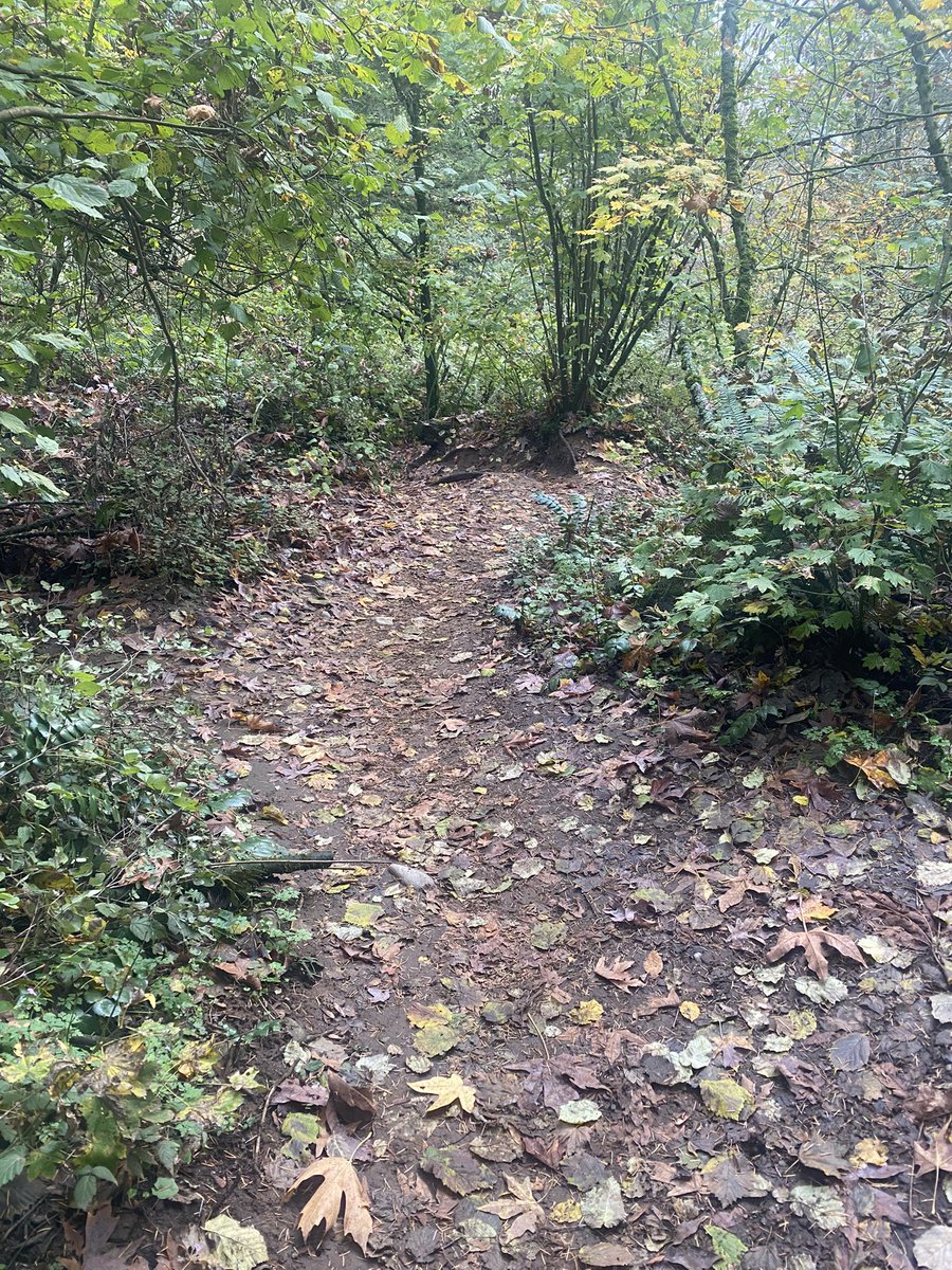 Jacci Dorran Holowath tweet media