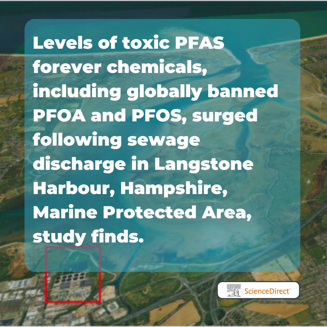 Langstone Harbour Marine 'Protected' Area: with nurseries for young fish &amp; Ramsar status for sea birds, these waters should be a crystal clear wildlife haven. Instead they're churning with sewage. In that sewage, cancer causing PFOA, &amp; PFOS, both globally banned, study finds🧵