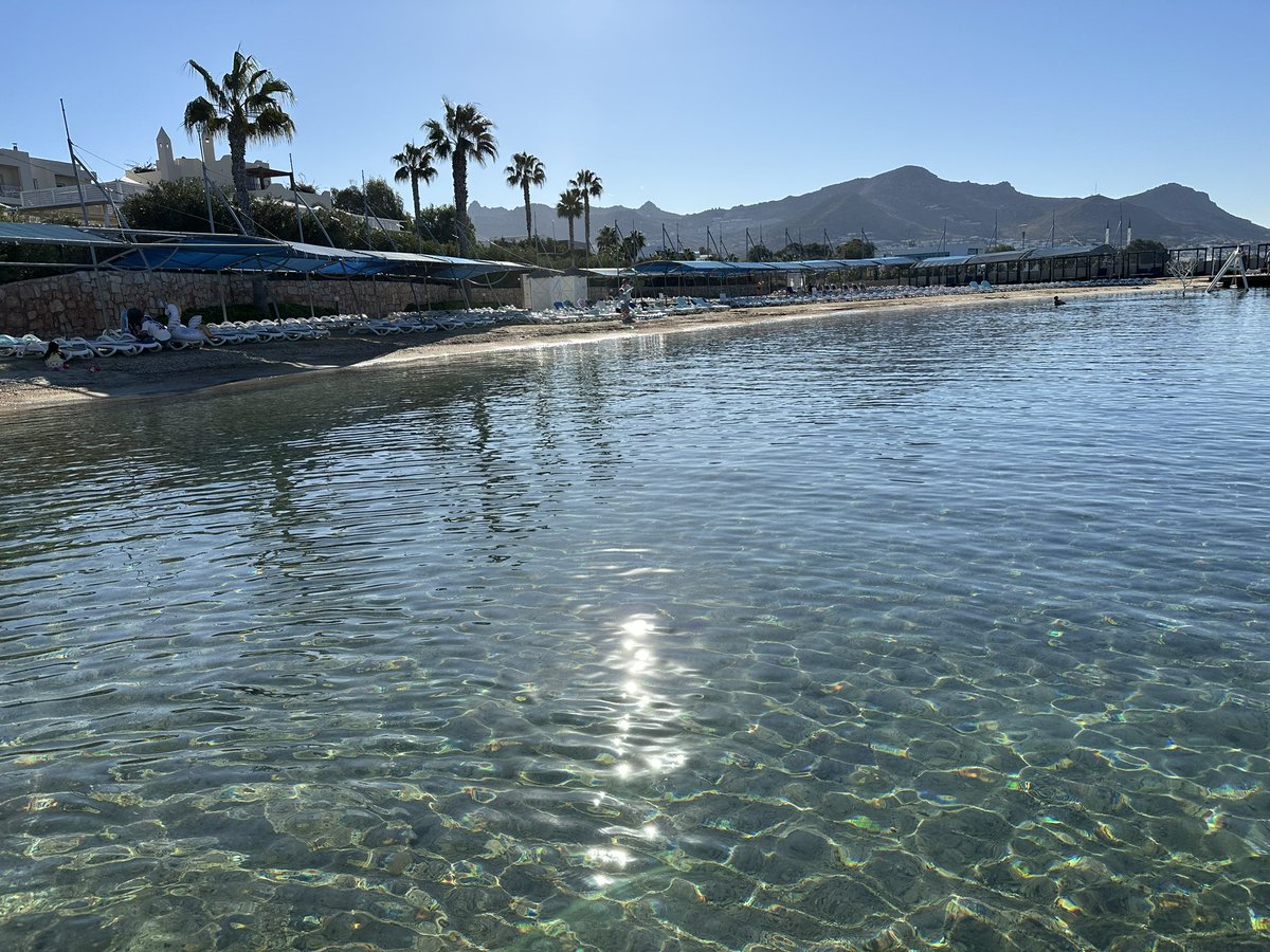 Jackie Perry tweet media