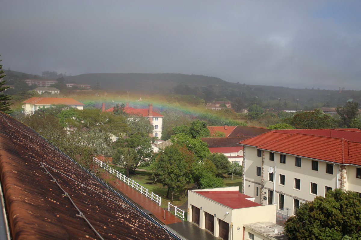 RhodesLibrary's tweet image. Research in the Digital Age: New Frontiers and Challenges is officially about to commence!

The venue is set, and our esteemed guests are arriving. We&apos;re excited to explore groundbreaking research in the digital landscape.

Look at this stunning view from the library venue!