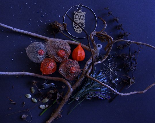 Bad Witch tweet media