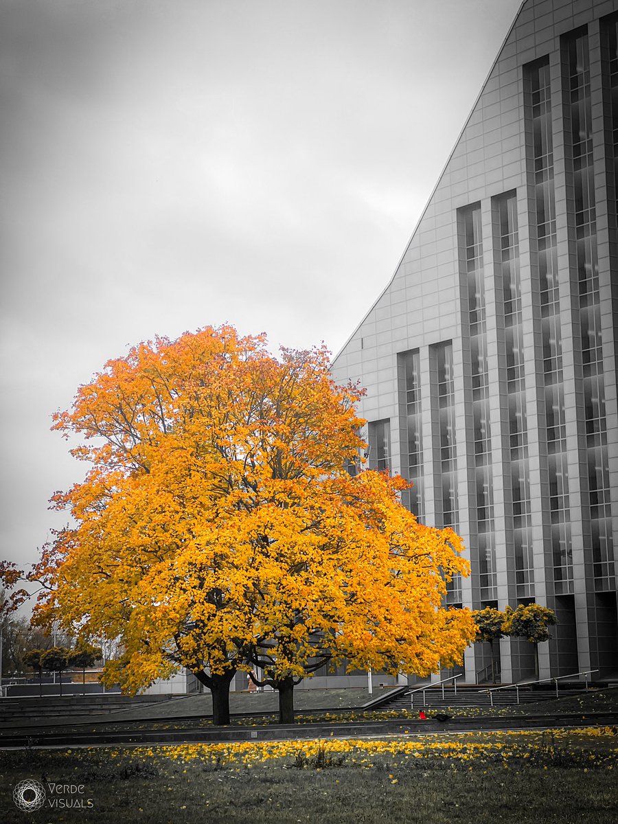 Verde Visuals (@aperolssmits) on Twitter photo 