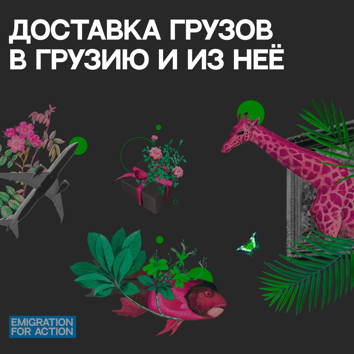 Emigration for Action tweet media