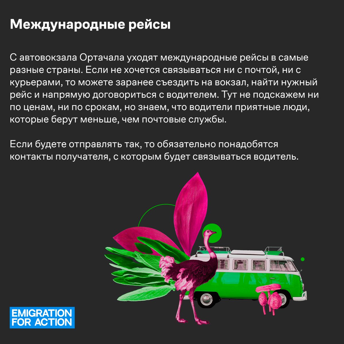 Emigration for Action tweet media