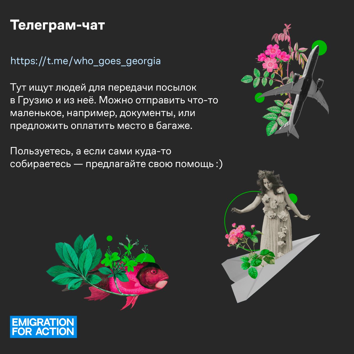 Emigration for Action tweet media