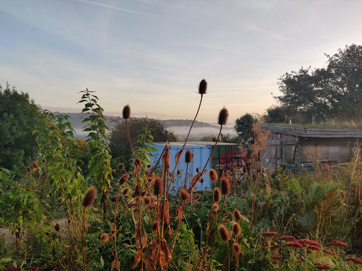 #autumn2024 has arrived to Bath City Farm! 🍁
Come and see us soon to enjoy stunning vistas across the city of Bath, our gorgeous cafe, lovely walks and meet our Farm animals.
All the details are on our website 
bathcityfarm.org.uk 

#bathcityfarm #autumnvibes