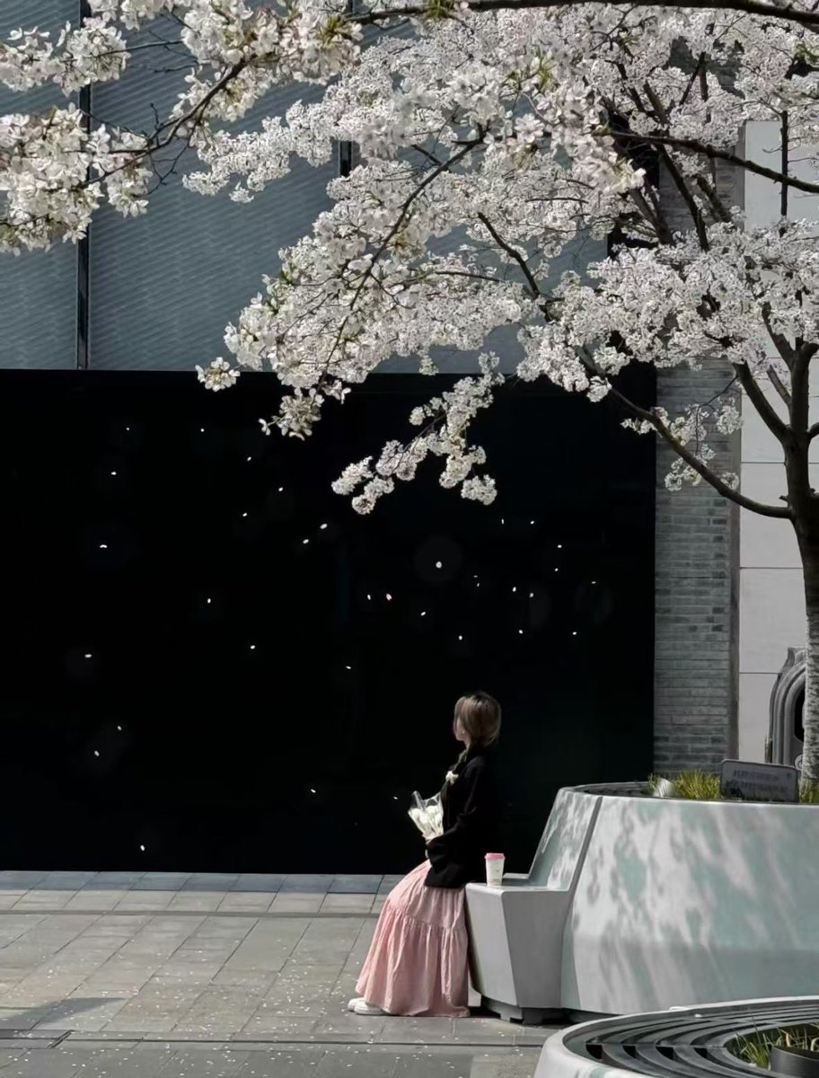 izzibag's tweet image. 樱花树下站谁都美 我的爱给谁都热烈 不是你好 是我好