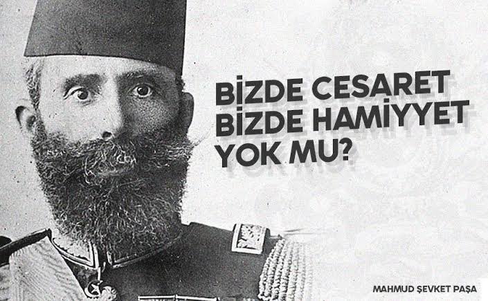 "Kardaşlar! 
Vatan gidiyor, millet mahvoluyor. Ne duruyoruz?
Bizde cesaret, bizde hamiyyet yok mu?"
-Mahmut Şevket Paşa