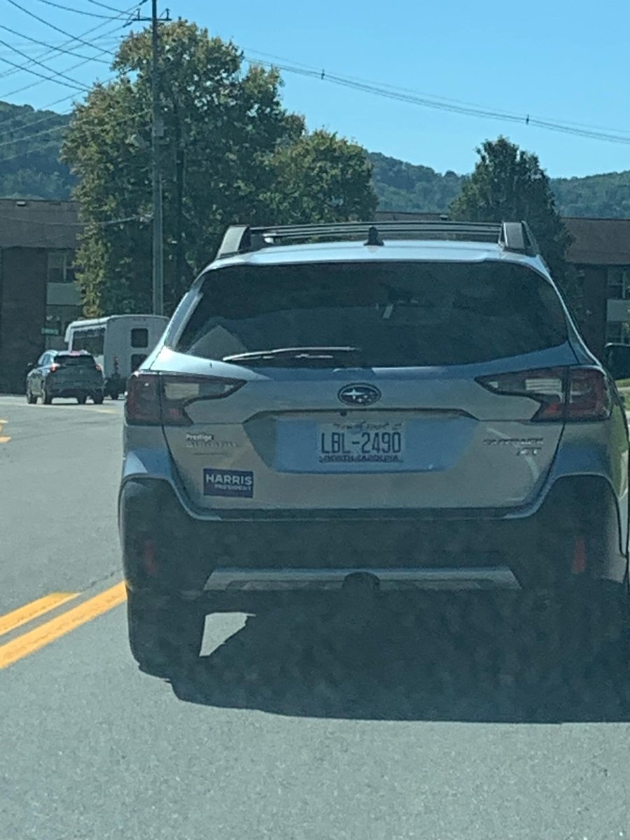 Amen462's tweet photo. @realjesseonfire @AliAbdelaziz00 @realDonaldTrump @RichardGrenell @Justin_Gaethje @HenryCejudo Only one I have seen in Appalachian Mountains https://t.co/b9T0X7tofa