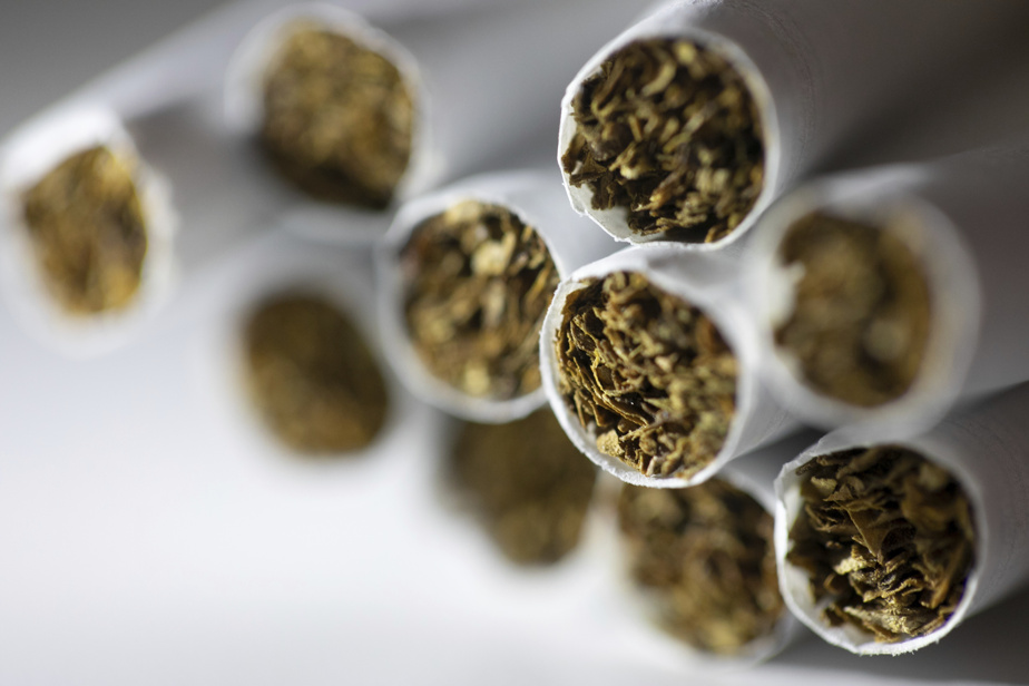 Des cigarettiers proposent de payer 32,5 milliards aux provinces et aux fumeurs malades.
lapresse.ca/actualites/jus…
#tabac #cancer #poumon #gorge