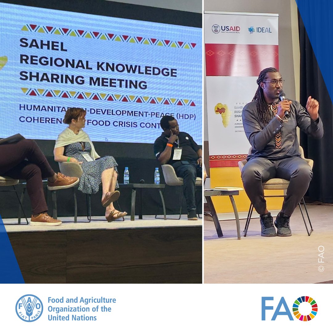 FAO in North America (@faonorthamerica) on Twitter photo At <a href="/USAIDSavesLives/">USAID's Bureau for Humanitarian Assistance</a> Sahel Regional Knowledge Sharing Meeting, <a href="/FAONigeria/">FAO Nigeria</a> and ECOWAS Representative <a href="/DominiqueKoffy/">dominique koffy</a> pointed to gender equality as key to achieving stability & #foodsecurity in the region.
"If you want peace in the region, invest in women's empowerment." #RKSM2024 At <a href="/USAIDSavesLives/">USAID's Bureau for Humanitarian Assistance</a> Sahel Regional Knowledge Sharing Meeting, <a href="/FAONigeria/">FAO Nigeria</a> and ECOWAS Representative <a href="/DominiqueKoffy/">dominique koffy</a> pointed to gender equality as key to achieving stability & #foodsecurity in the region.
"If you want peace in the region, invest in women's empowerment." #RKSM2024