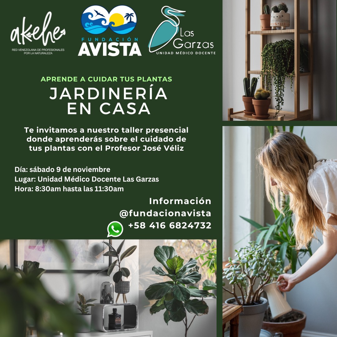 ¡Ajá! Te traemos junto a <a href="/Akehe_Venezuela/">Akehe 🌿</a> el taller de jardinería con temas nuevos e interesantes...👇🏼
facebook.com/share/p/d4YAqE…
¡Te esperamos!
#jardín #hogar #ods4 #ods13 #ods15