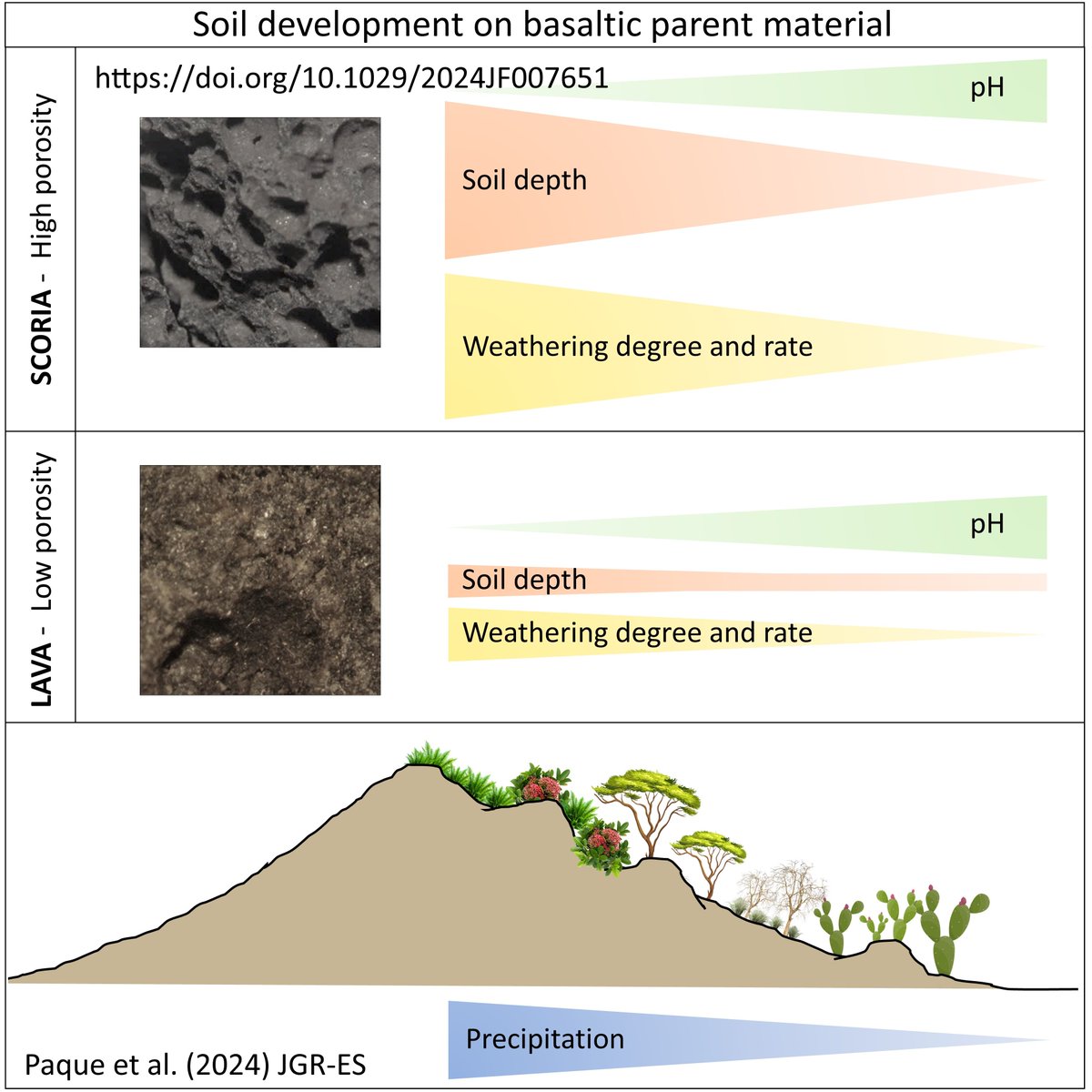 Veerle Vanacker tweet media