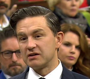 shelearn's tweet image. #Ptbo MP @mferreriptbokaw always knows where the cameras are. The head tilt happens every single day.