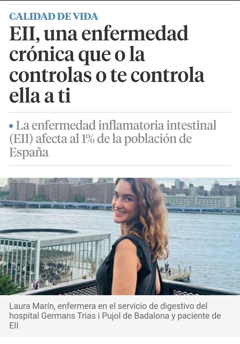 Mar Llambí 🔶 MVP Bizz Apps tweet media