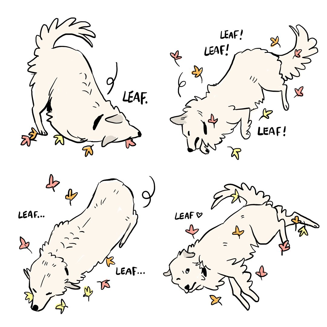 a guide on how to enjoy: LEAF 🍂