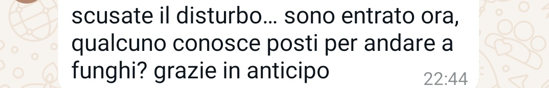 miriana. tweet media