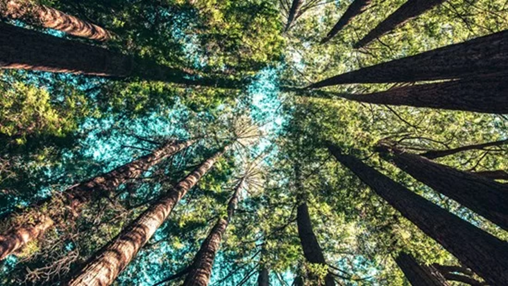 IndigoWMS's tweet photo. 5 ways a WMS helps your warehouse get to net zero https://t.co/3xWDxQP53Z

#netzero
#warehouse
#WMS https://t.co/Ix2NlUACAG