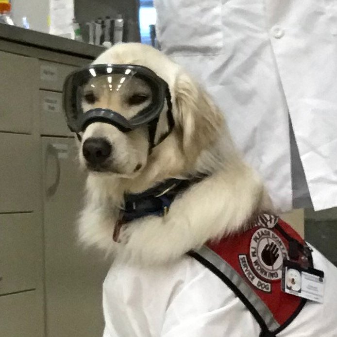 Recovering from a brain injury + a body of 23 broken/healing bones, having lost the ability to understand language, vocalize in public, or tolerate social stimulation and environments, Mom started college studying Neuroscience with my help. She could not have done so without my