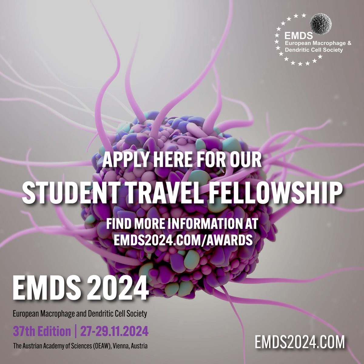 Apply!
