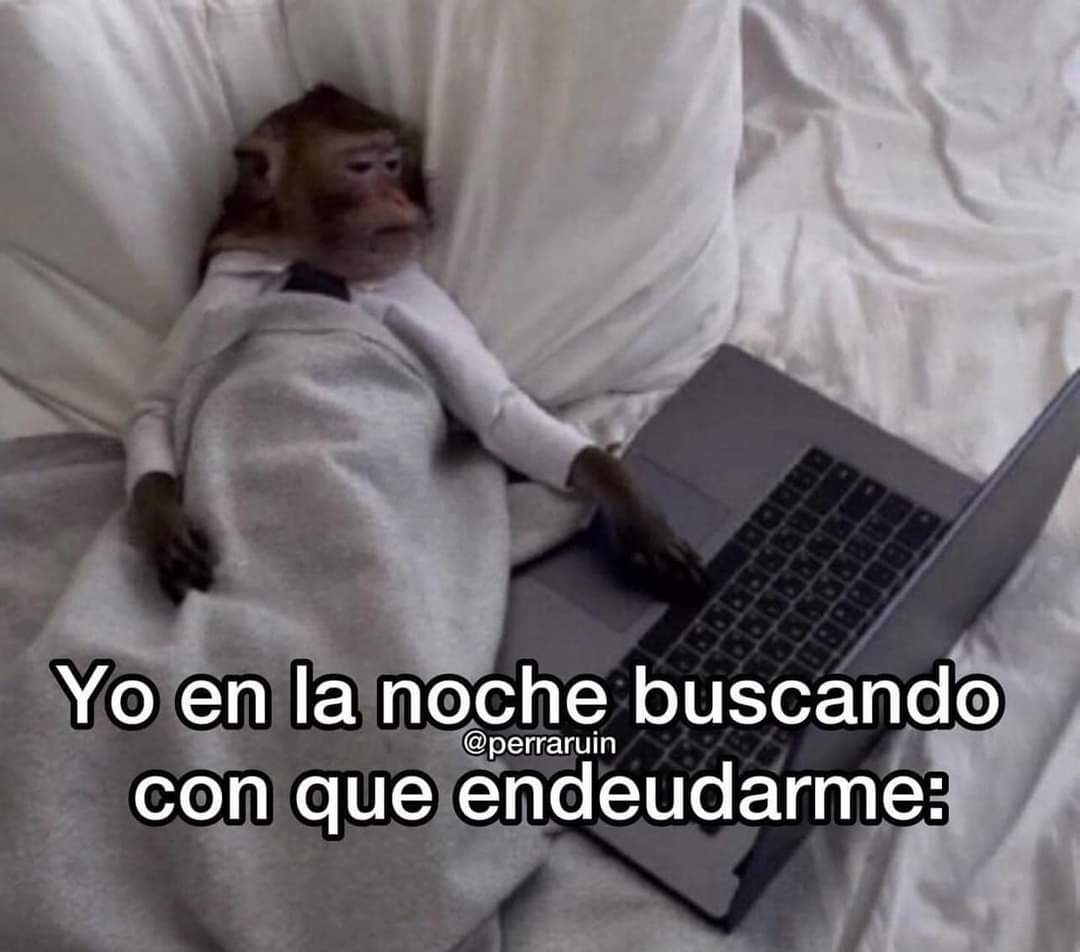 nacional_memes's tweet image. 