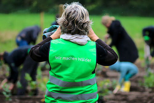 🌳🌱 Ein "Tiny Forest" – ein lebendiger Mikrowald für mehr Biodiversität und Klimaschutz - wird auf dem Friedhof im Hamburger Stadtteil Stellingen gepflanzt .💚  #Klimaschutz #Biodiversität nordkirche.de/nachrichten/na…