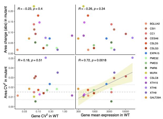 sci_plant's tweet photo. Highly expressed cell wall genes contribute to robustness of sepal size 

https://t.co/o7nu1r8mhe 
#plantscience ♻️ https://t.co/OWfVNyI1wh