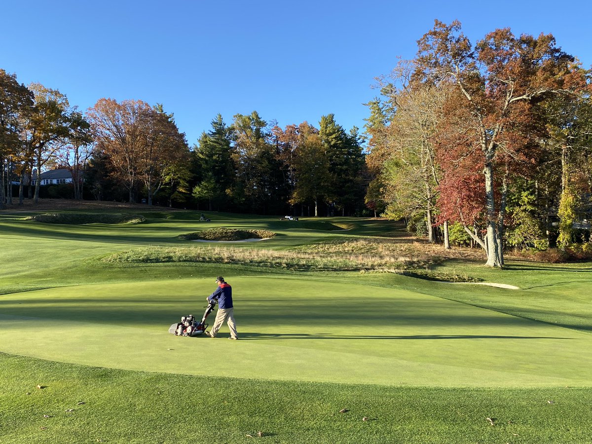 Good day for creating new Green Section education content!