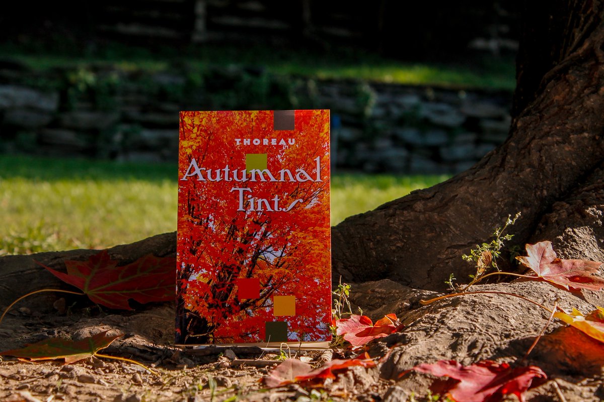 HFPAssociation's tweet photo. 🍁 "October is the month for painted leaves. Their rich glow now flashes round the world." 🍁

Vibrant fall foliage and the timeless words of Thoreau are brought together in our Sales and Visitor Experience Specialist Emerald's #BookoftheMonth: https://t.co/Lq1djM1j7q. https://t.co/lMiqEzE3by