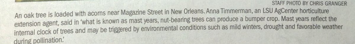 Richard Campanella tweet media