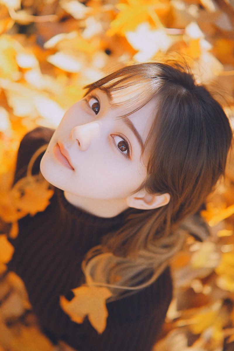 AI_studio84's tweet image. 