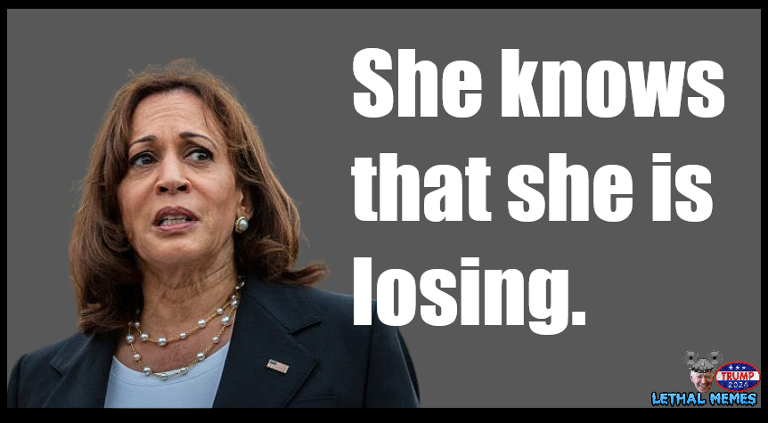 DrMickLethal's tweet image. #TrainWreckKamala #FoxInterview #KamalaCrashandBurn #LethalMemes #MickLethal #KamalaSux #Trump2024 #ShesLosing #FoxNewsInterview #FoxNews #BrettBair #FatLadySings #ThePartyIsOver #BadDayToBeADemocrat